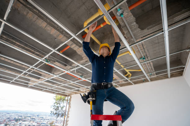Best Clogged Drain Plumber  in Brainerd, MN
